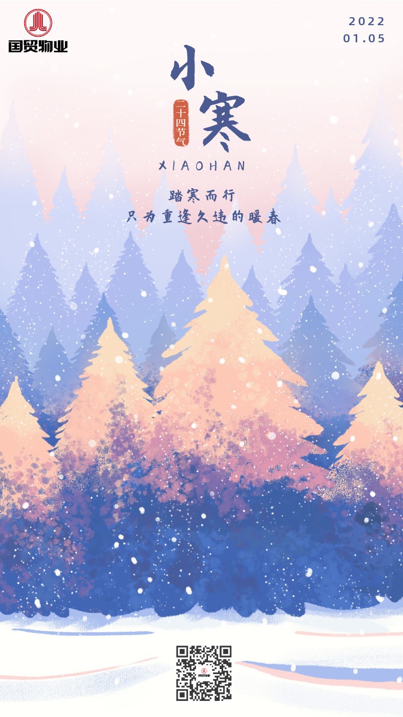 小寒，二十四节气，手绘，雪，手机海报