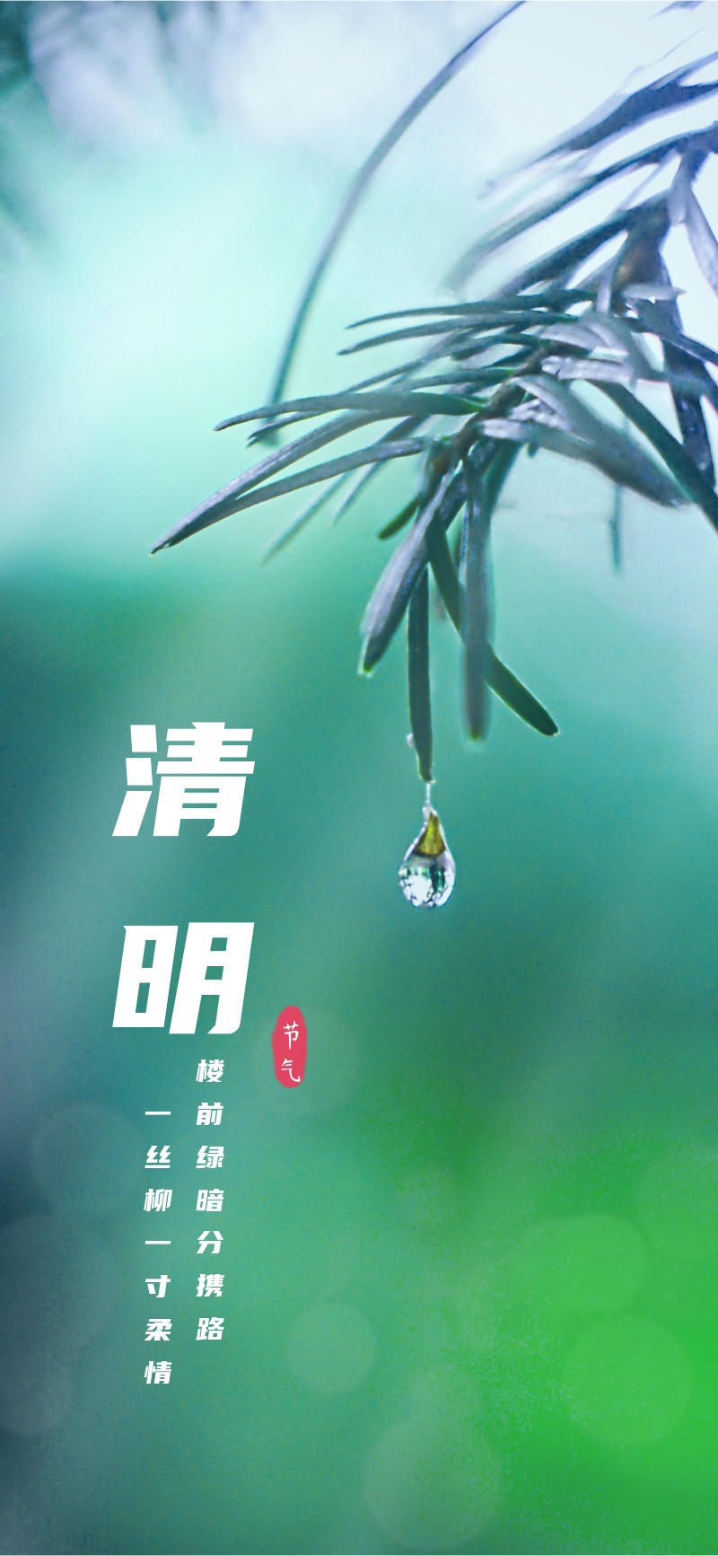 清明节，清新，实景