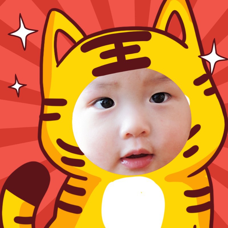 /static/assets/images/default-pic.png 春节,老虎,喜庆,微信头像