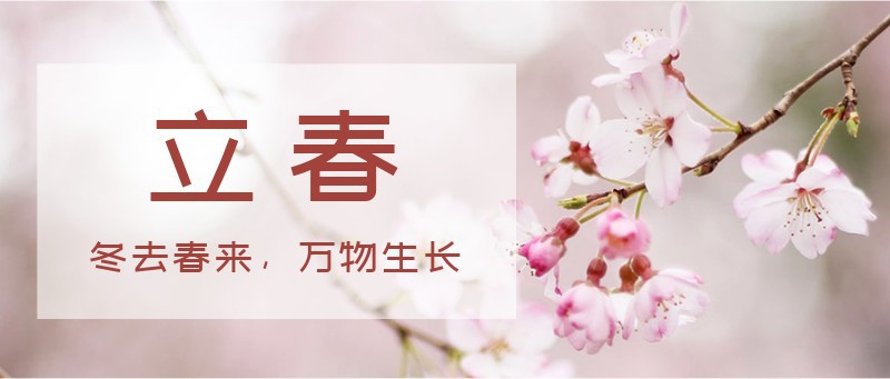 立春，花枝，公众号封面