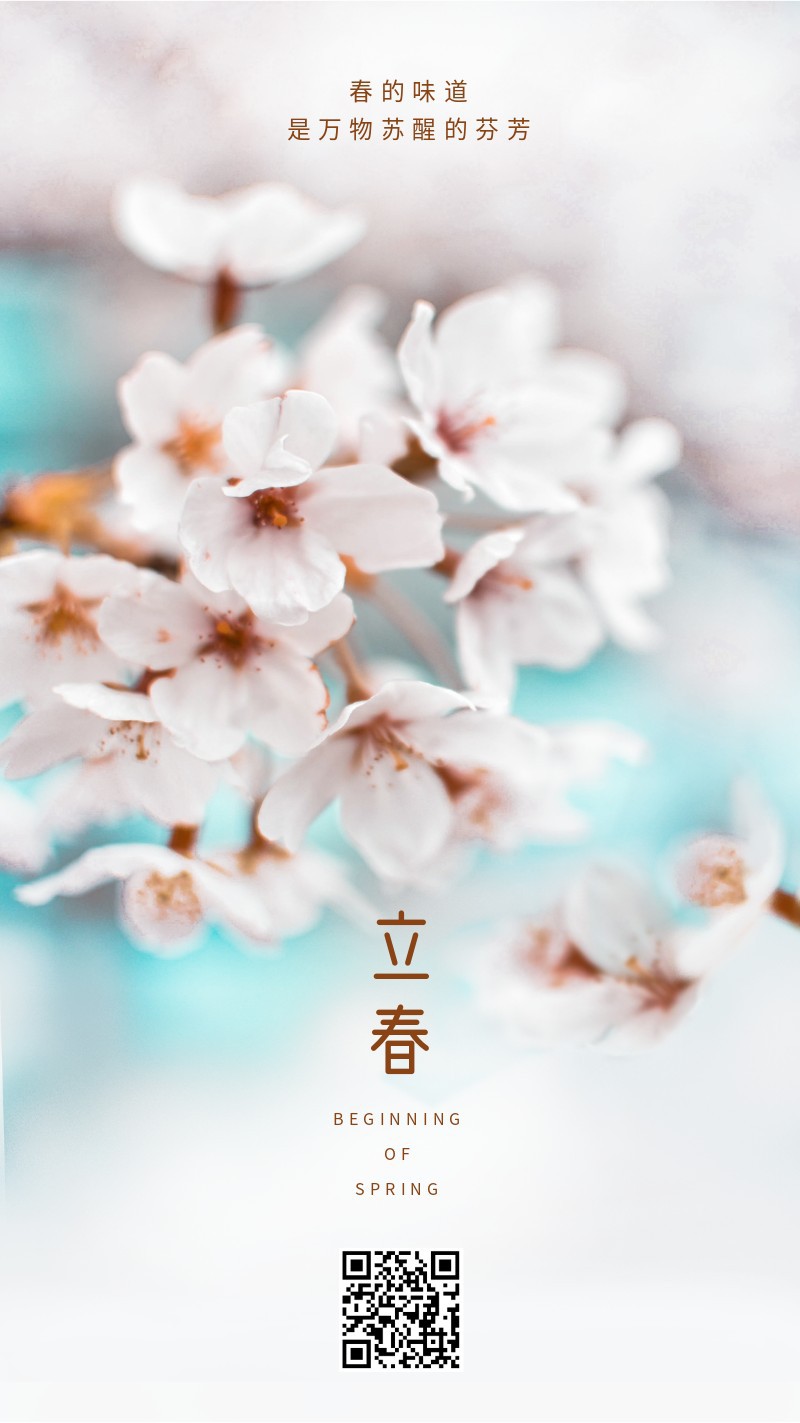/static/assets/images/default-pic.png 立春,二十四节气,花,实景,手机海报