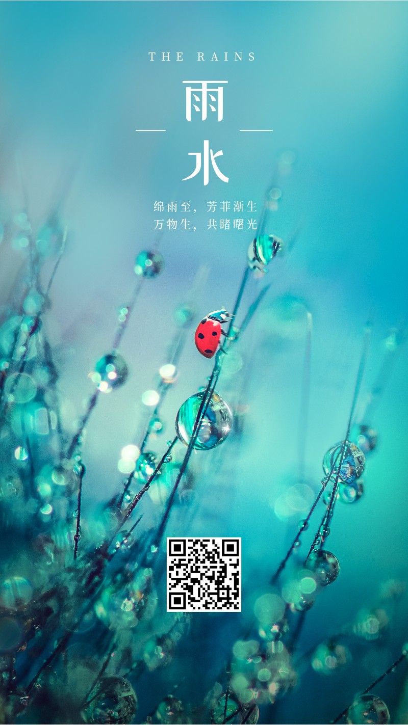 雨水，二十四节气，实景，祝福，手机海报