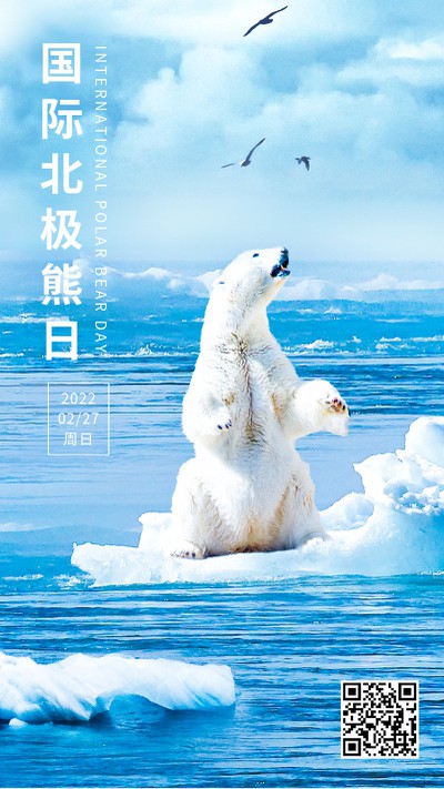 国际北极熊日，2.27，公益日，手机海报