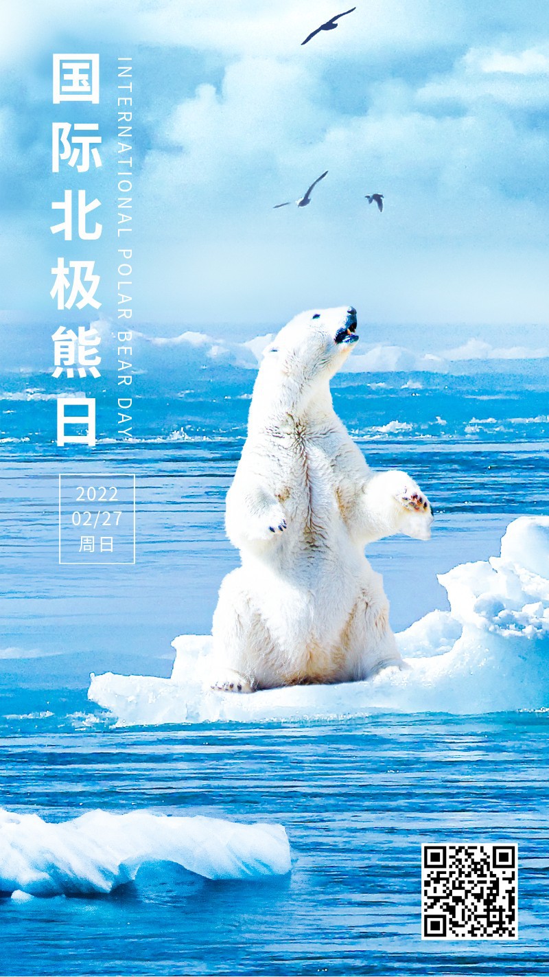 /static/assets/images/default-pic.png 国际北极熊日,2