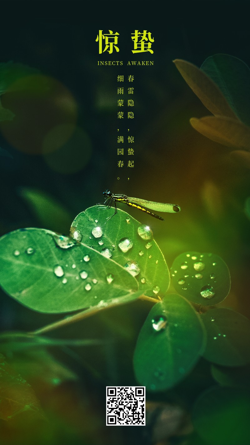 惊蛰，实景，二十四节气，蜻蜓，手机海报