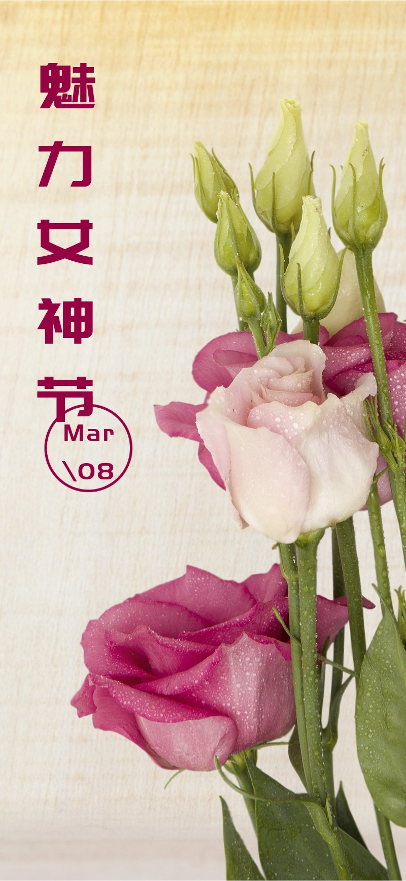 魅力女神节，玫瑰花