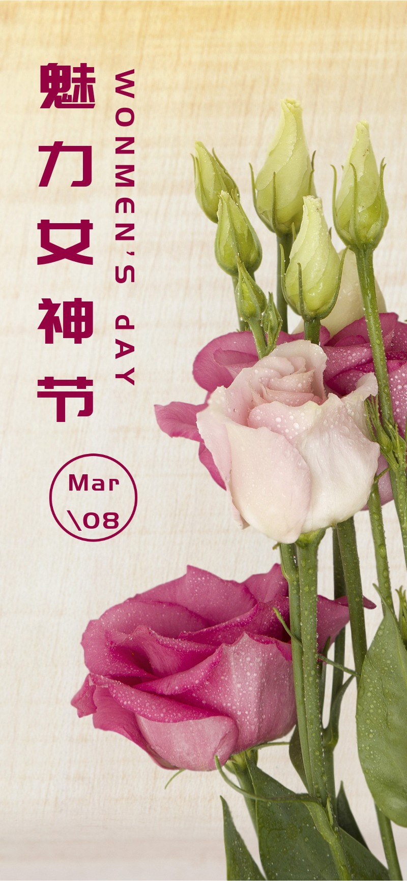 魅力女神节，玫瑰花