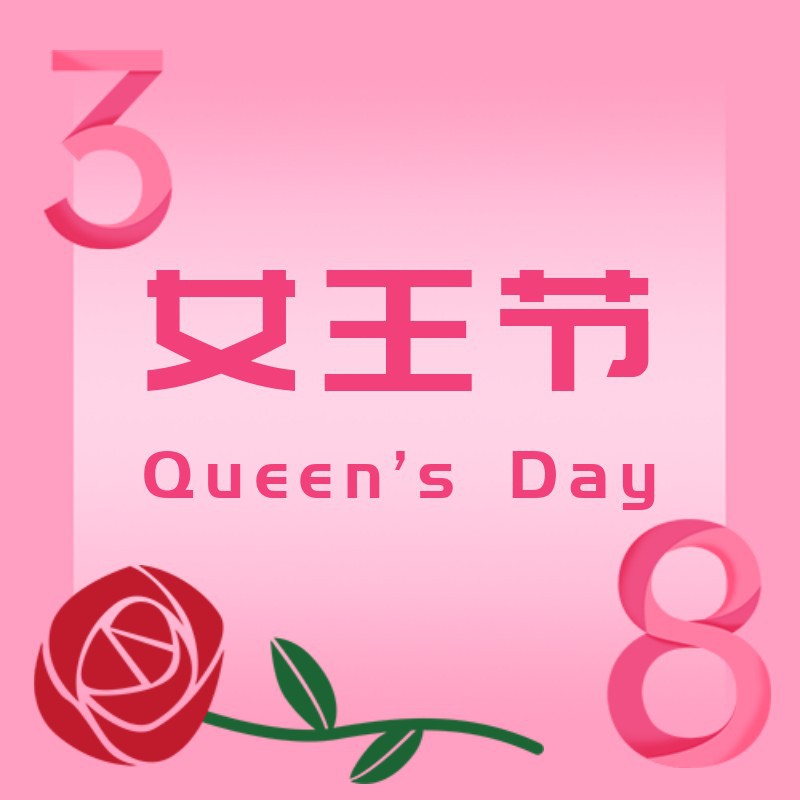 妇女节次图，粉色，玫瑰