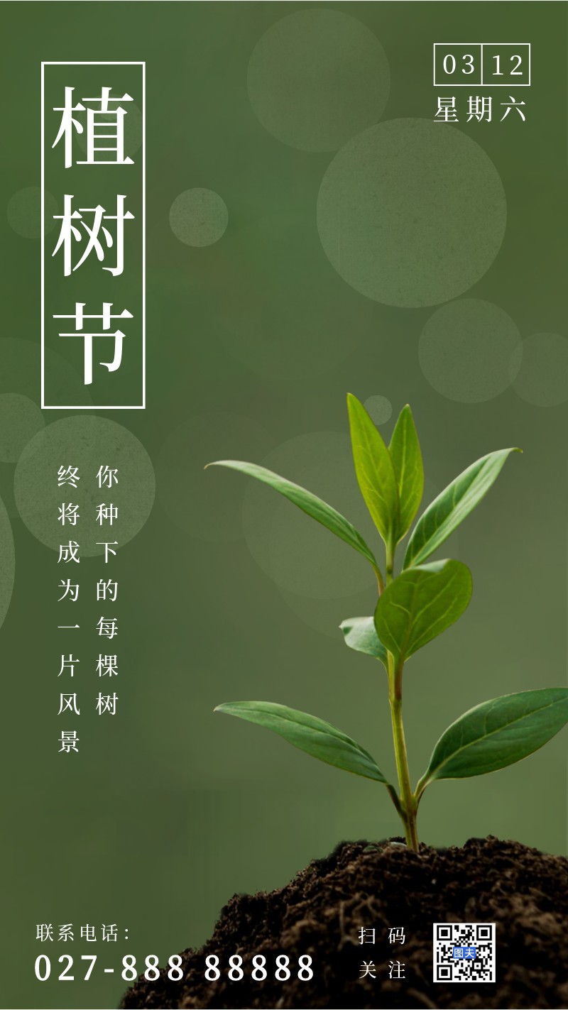 /static/assets/images/default-pic.png 植树节,树苗,海报
