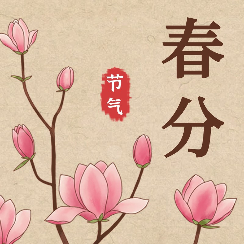 /static/assets/images/default-pic.png 春分,玉兰,公众号次图