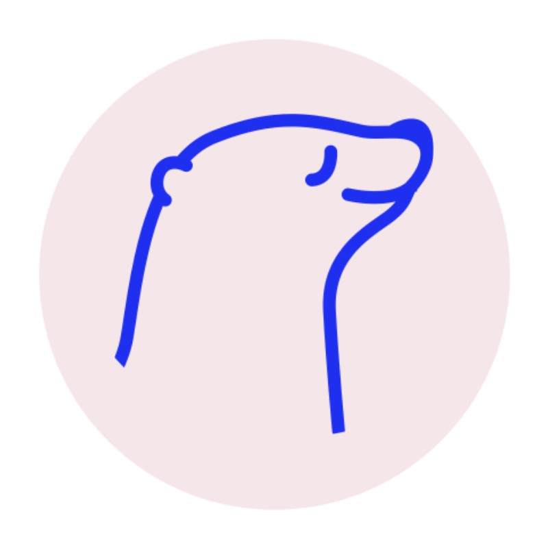 互联网海豹简约卡通logo