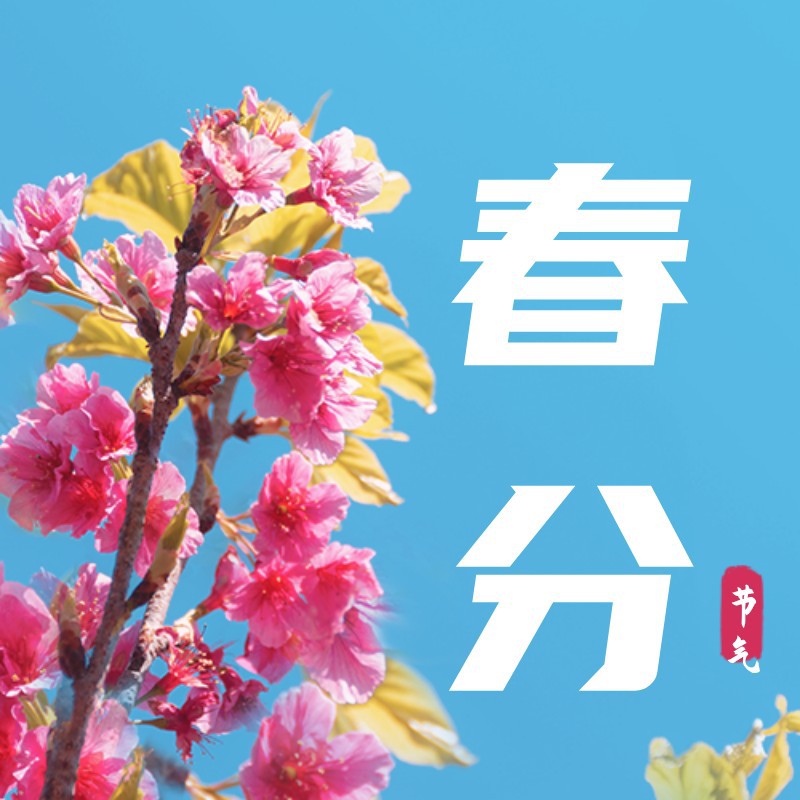 春分，二十四节气，花朵