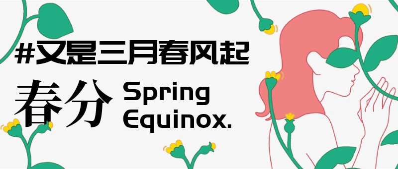 公众号封面 春分 花朵
