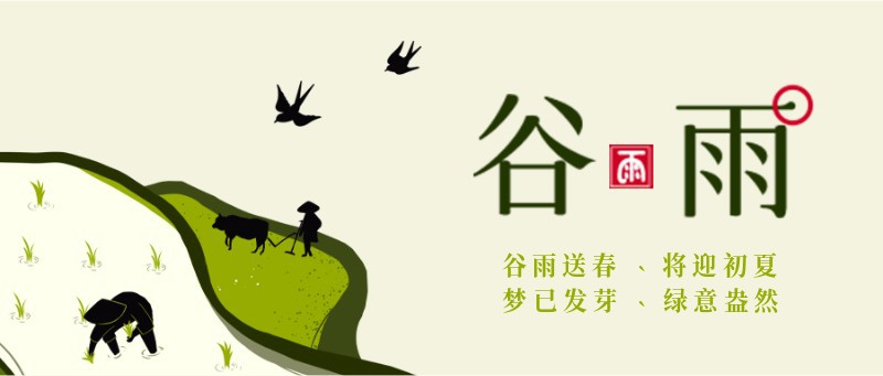 公众号封面 谷雨
