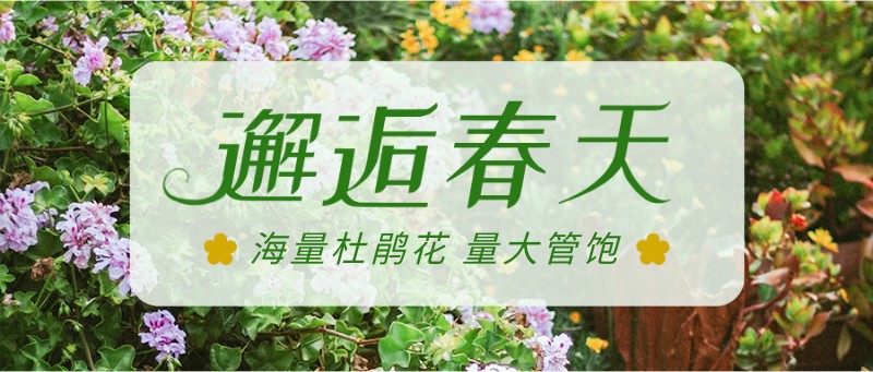 /static/assets/images/default-pic.png 春天,赏花,问候,祝福,公众号首页