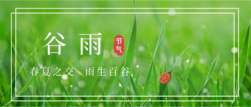 /static/assets/images/default-pic.png 谷雨,瓢虫,草,公众号封面