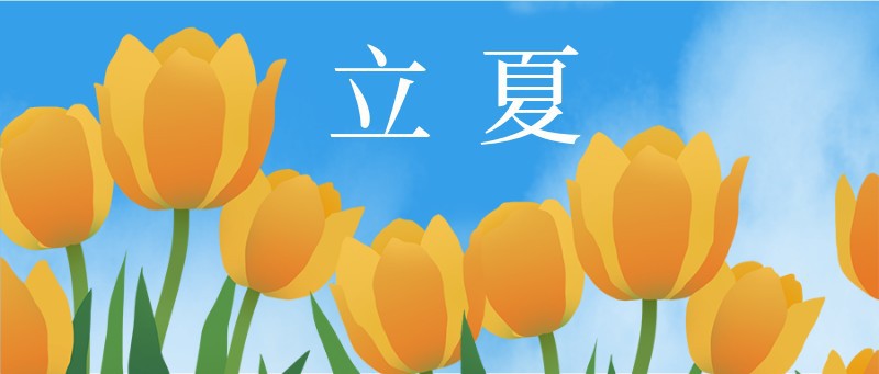 /static/assets/images/default-pic.png 立夏,郁金香,公众号封面