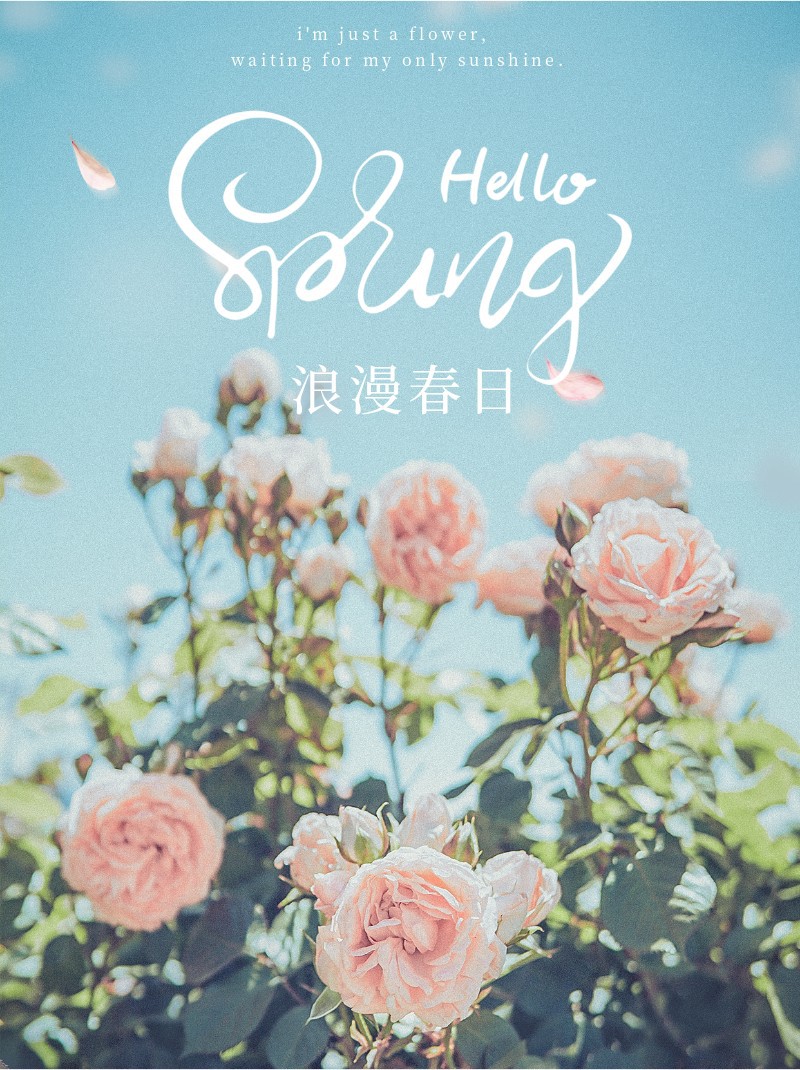 /static/assets/images/default-pic.png 浪漫春日,花,实景,小红书配图