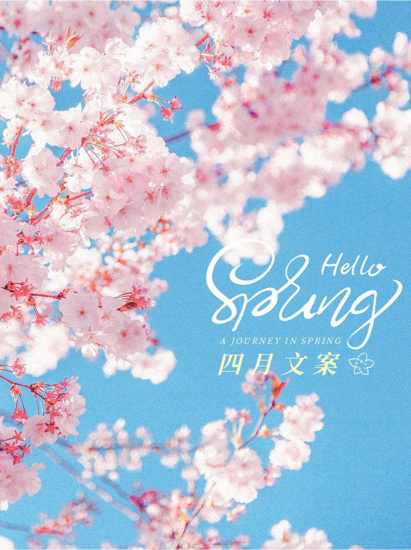 /static/assets/images/default-pic.png 四月文案,春天,花,实景,小红书配图