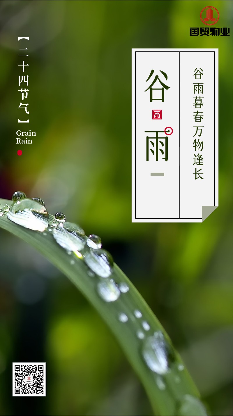 手机海报 谷雨