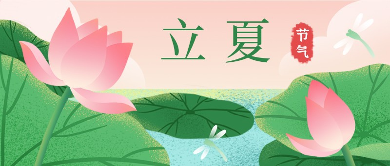 立夏，荷花，蜻蜓，公众号封面