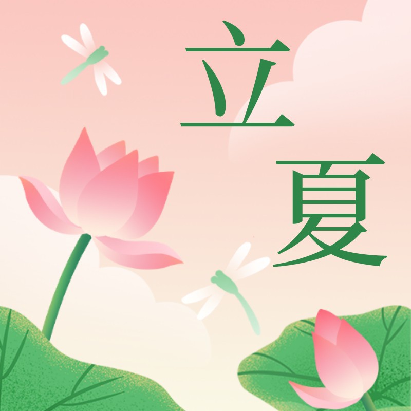 立夏，荷花，公众号次图