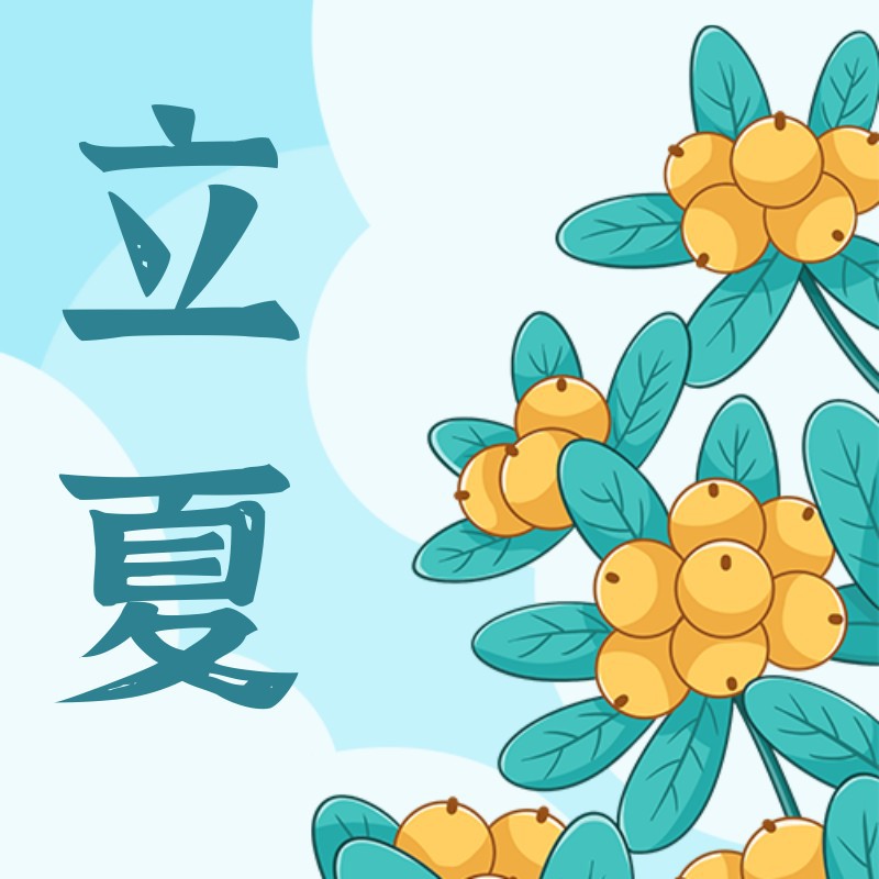 立夏，枇杷，公众号次图