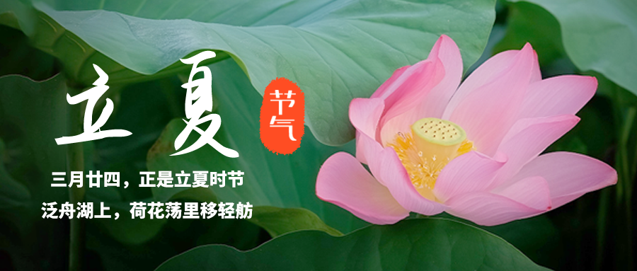 公众号封面 立夏