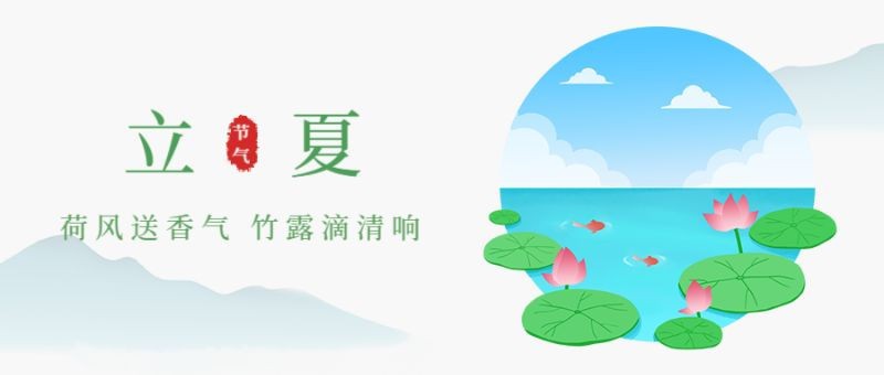 立夏，荷花，公众号封面