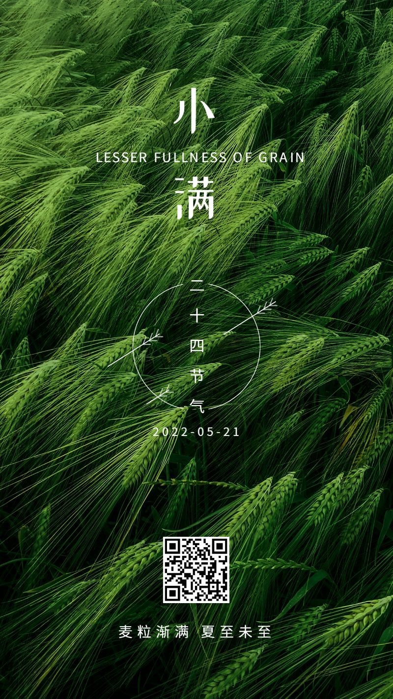 /static/assets/images/default-pic.png 小满,二十四节气,节日,实景,手机海报