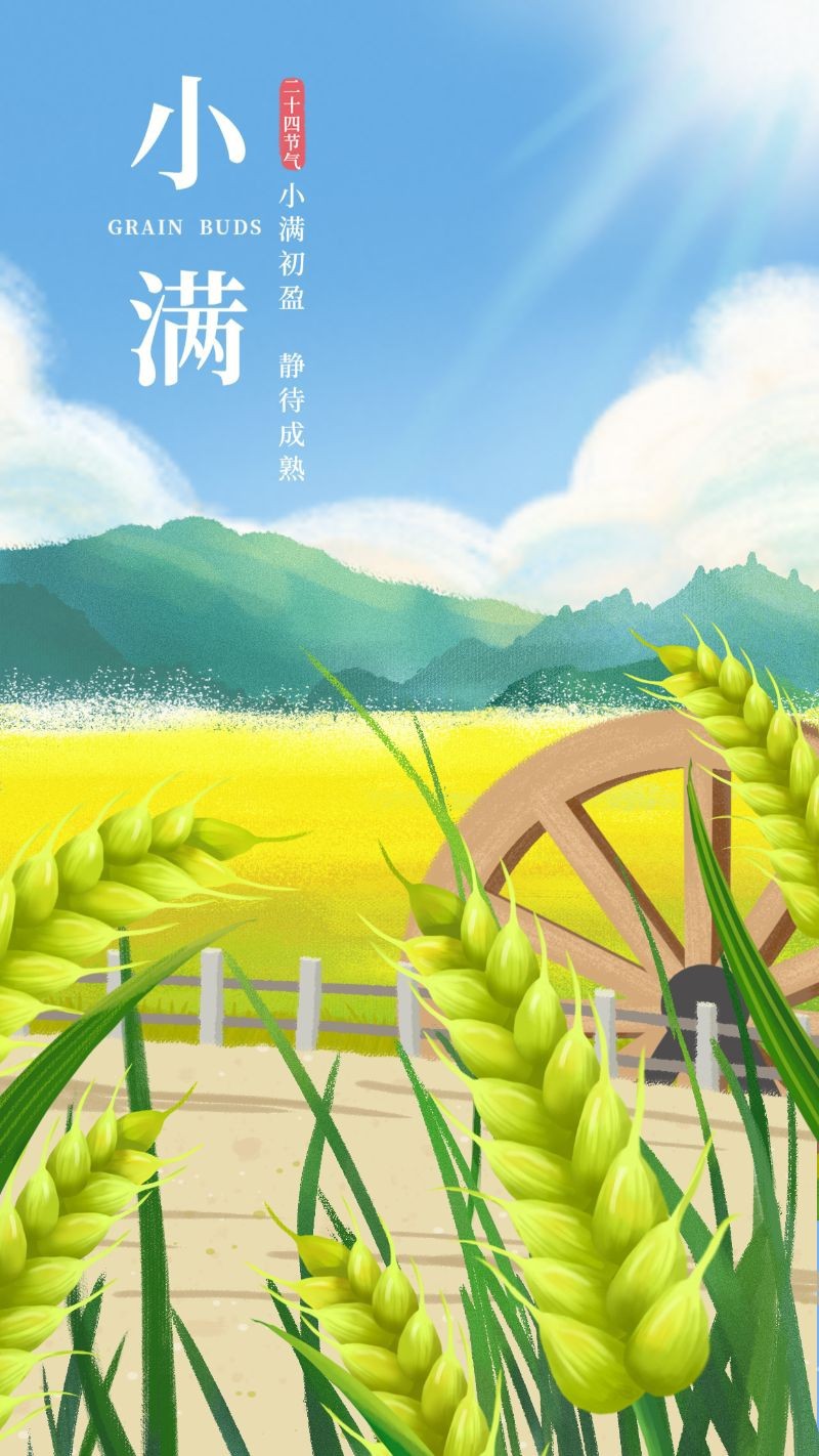 /static/assets/images/default-pic.png 小满,节日,二十四节气,插画,麦子,手机海报