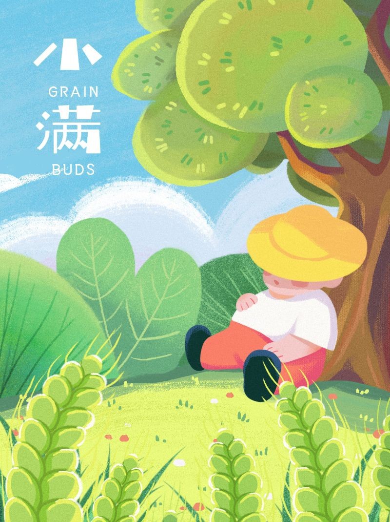 /static/assets/images/default-pic.png 小满,二十四节气,手绘,插画,小红书配图