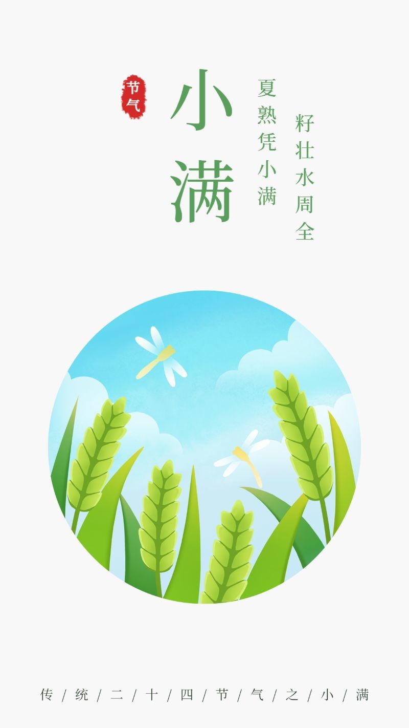 /static/assets/images/default-pic.png 小满,麦子,天空,海报