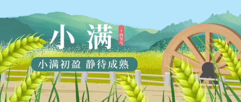 小满，节日，二十四节气，麦子，公众号首页