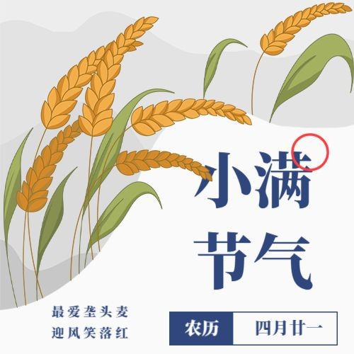 公众号次图 小满