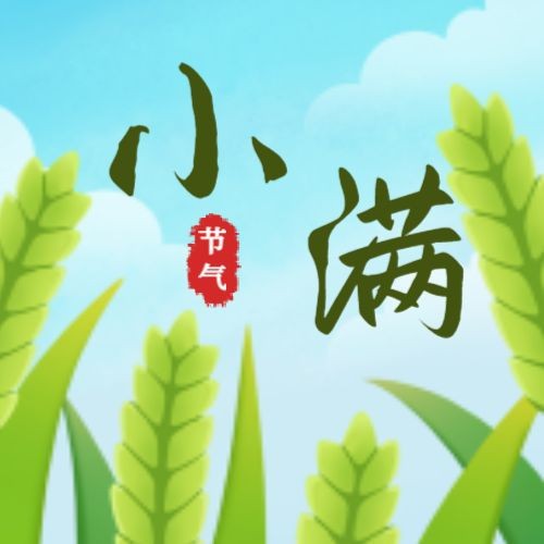 小满，麦子，天空，公众号次图