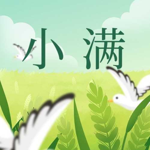 /static/assets/images/default-pic.png 小满,麦田,天空飞鸟,公众号次图