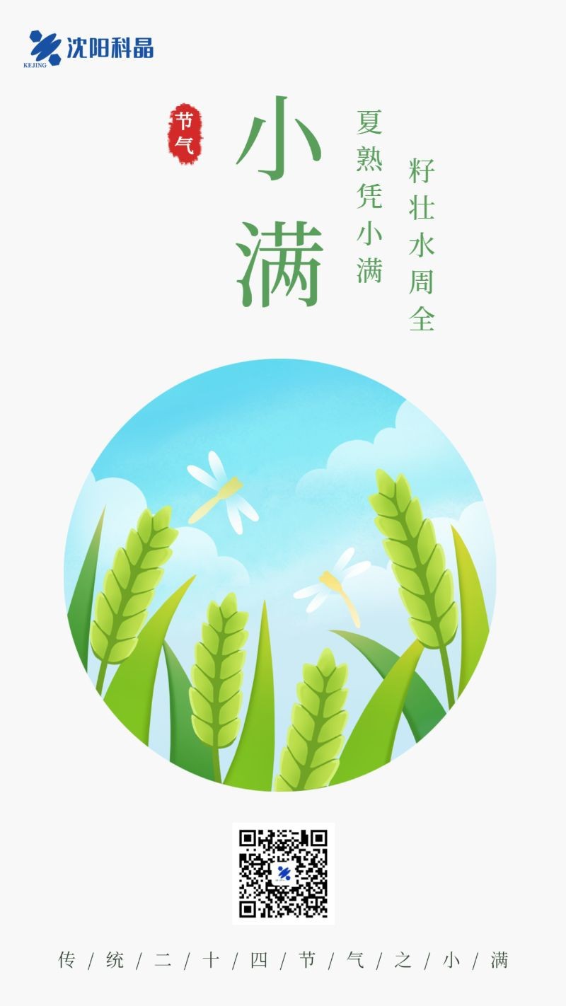 小满，麦子，天空，海报