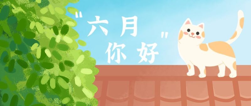 /static/assets/images/default-pic.png 六月,猫,树,公众号封面