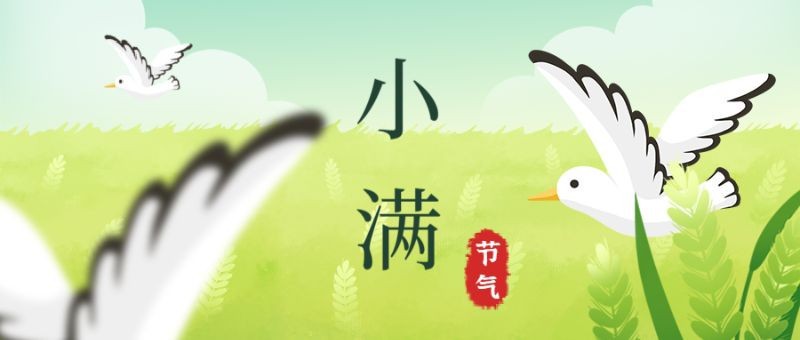 /static/assets/images/default-pic.png 小满,麦子,飞鸟,公众号封面