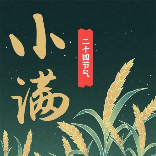 公众号次图 插画 小满