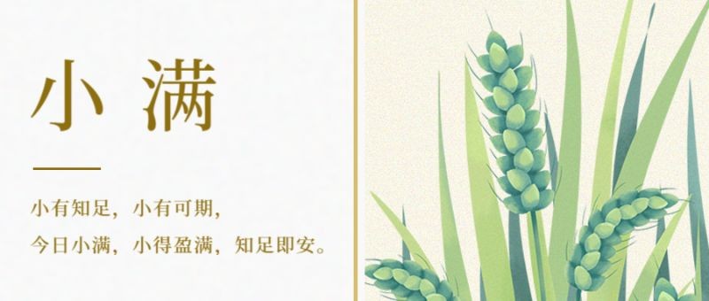/static/assets/images/default-pic.png 小满,麦子,公众号封面