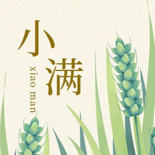 /static/assets/images/default-pic.png 小满,公众号次图