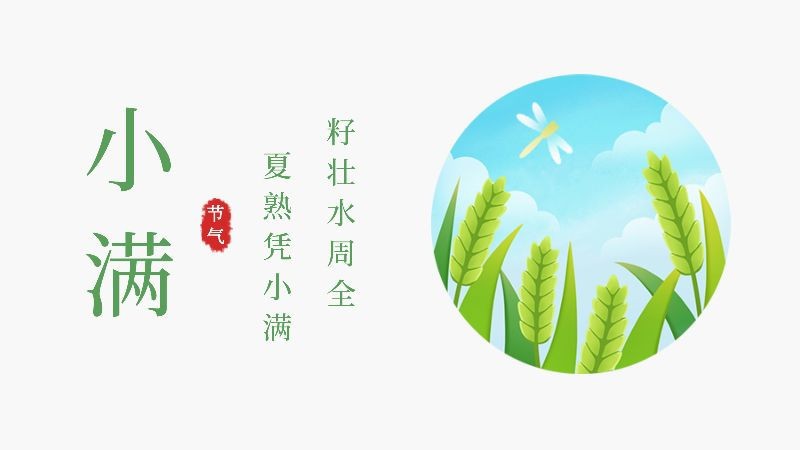 小满，麦子，天空，公众号封面