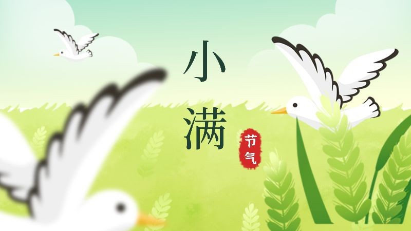 /static/assets/images/default-pic.png 小满,麦子,飞鸟,公众号封面