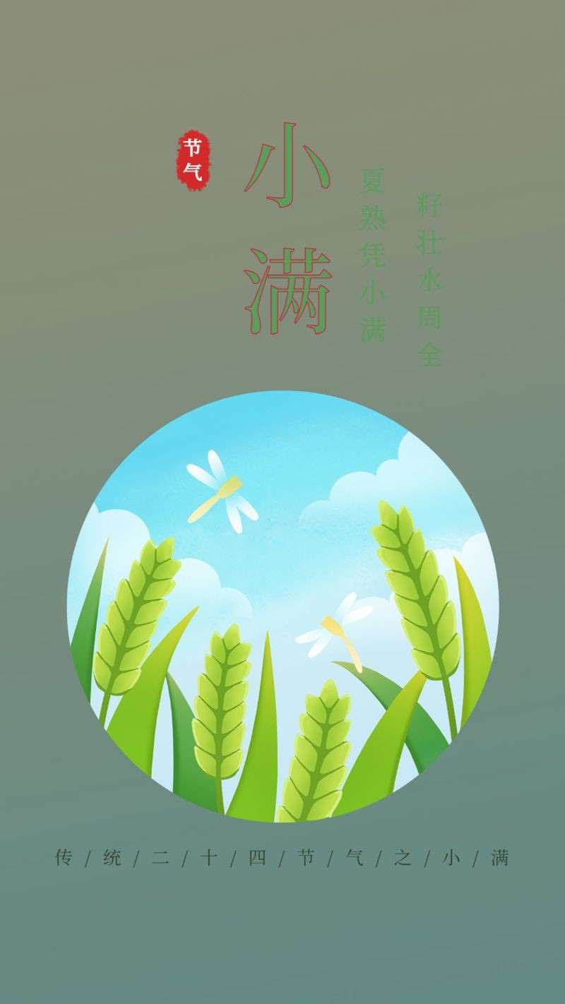 小满，麦子，天空，海报