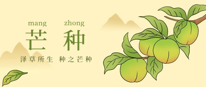 /static/assets/images/default-pic.png 芒种,青梅,公众号封面