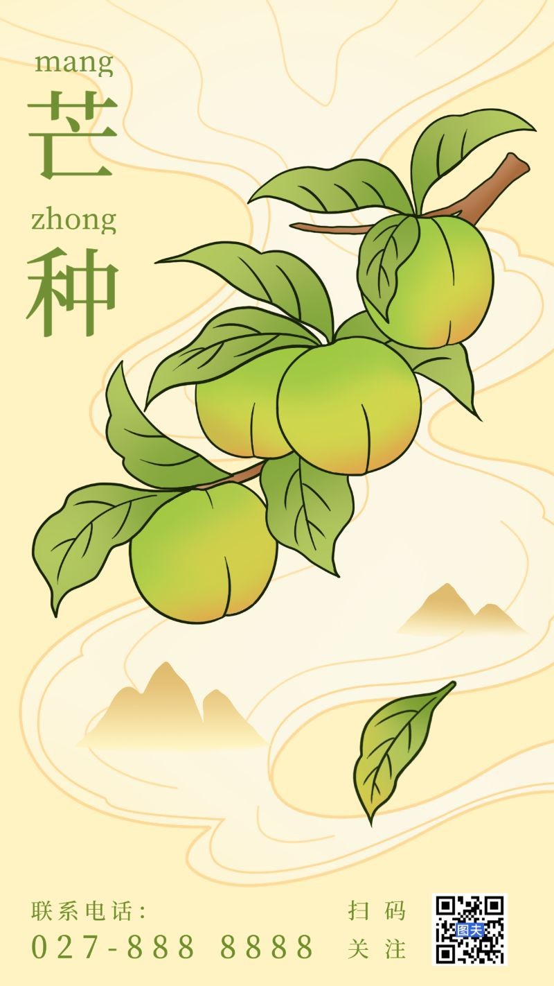/static/assets/images/default-pic.png 芒种,青梅,海报