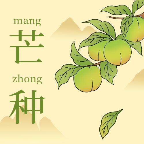 /static/assets/images/default-pic.png 芒种,青梅,公众号次图