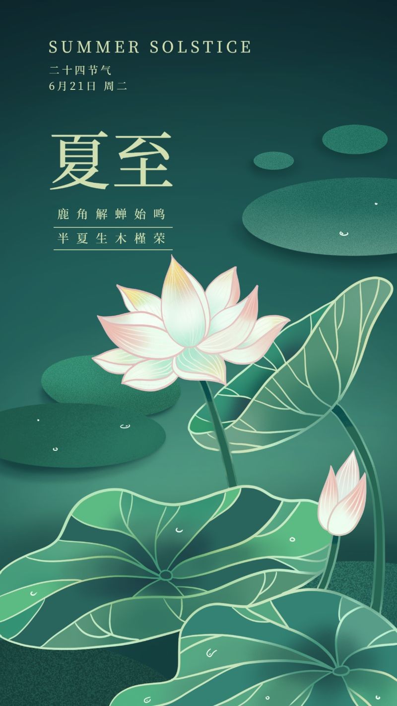 /static/assets/images/default-pic.png 夏至,二十四节气,荷塘,插画,手机海报